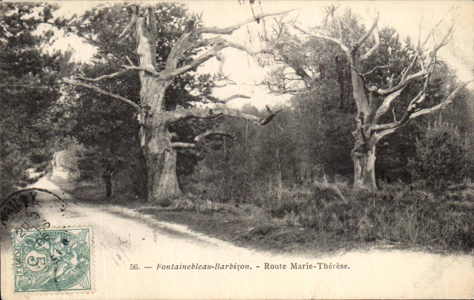 VINTAGE POSTCARD Drill of Fontainebleau Barbizon Road Marie Therese Trees
