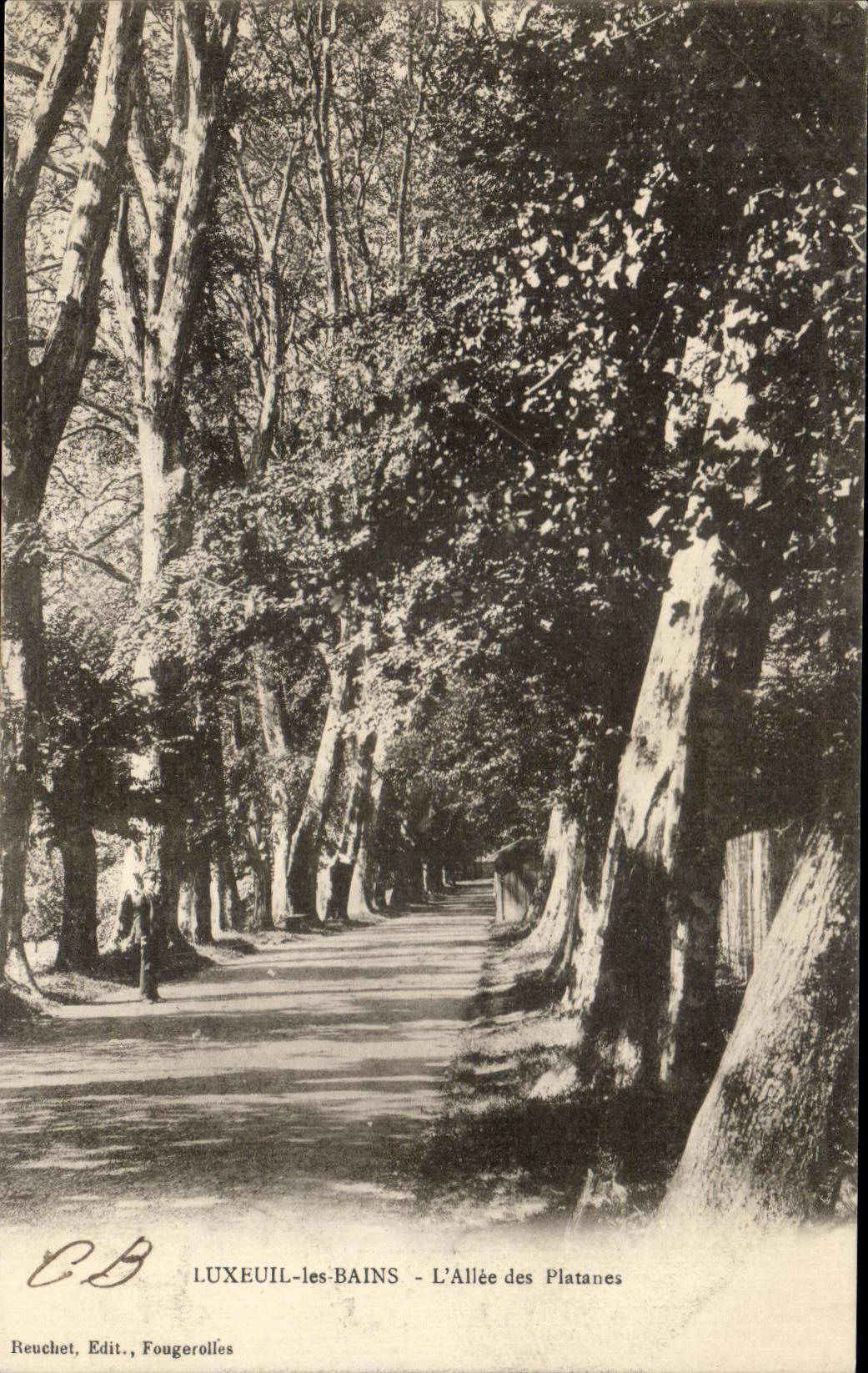 VINTAGE POSTCARD Luxeuil Les Bains L Gone of the Plane trees