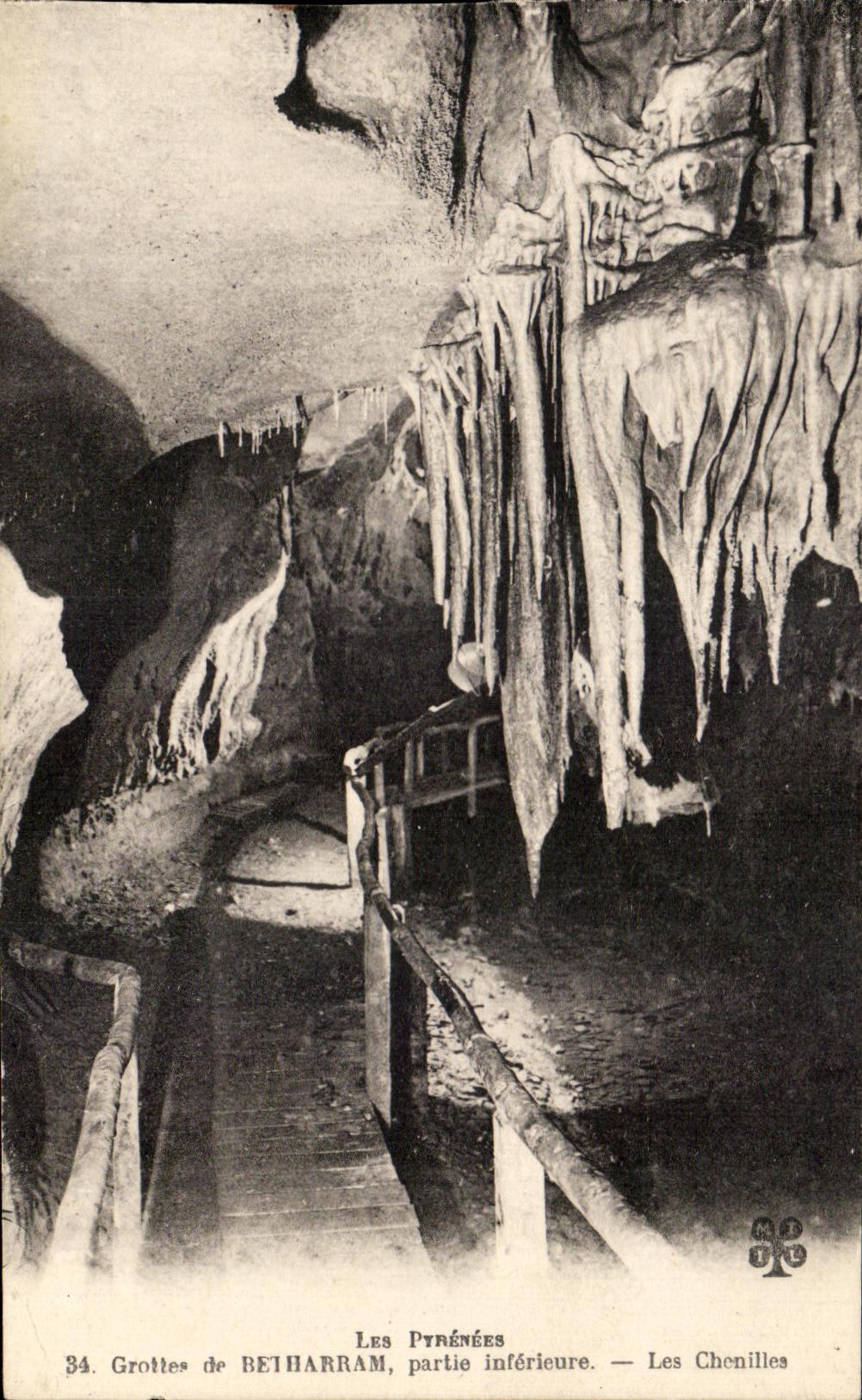 VINTAGE POSTCARD Caves of Betharram caterpillars