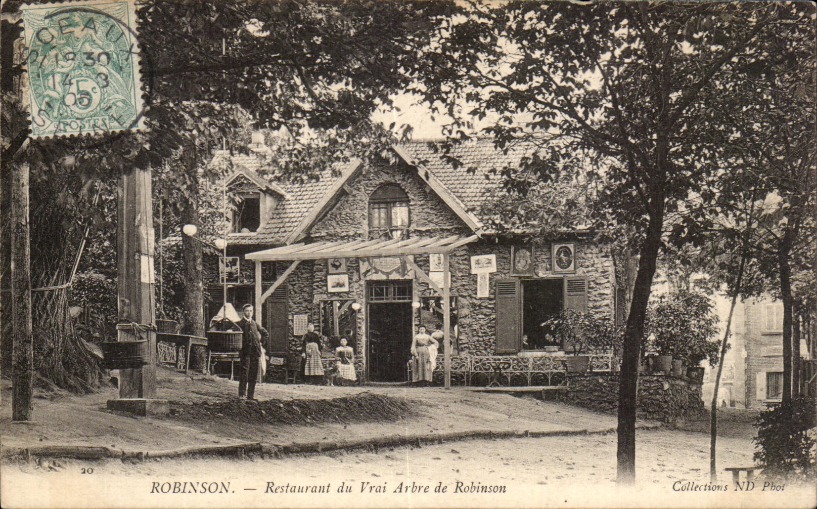 VINTAGE POSTCARD Robinson Restoring of the True tree of Robinson