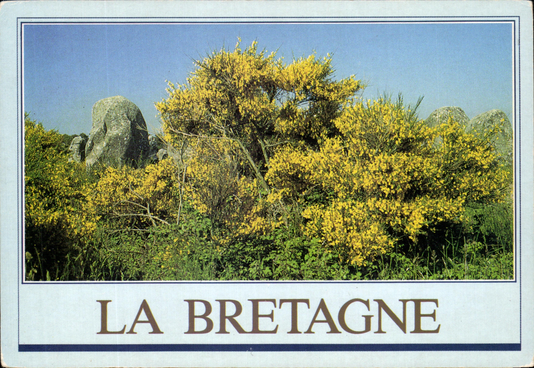 MODERN CARD Brittany