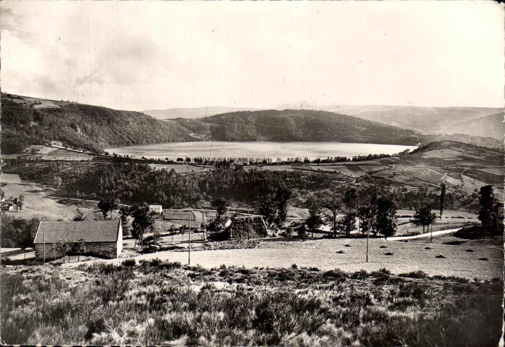 POSTAL Marsella Majorque de la VENDIMIA a la izquierda el Hurdy gurdy de Majorque