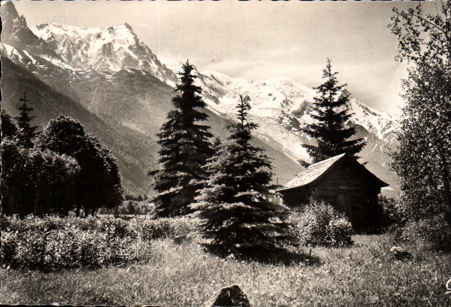 CPA Chamonix Mont Blanc Le Massif du Mont Blanc et L Aiguille du Midi