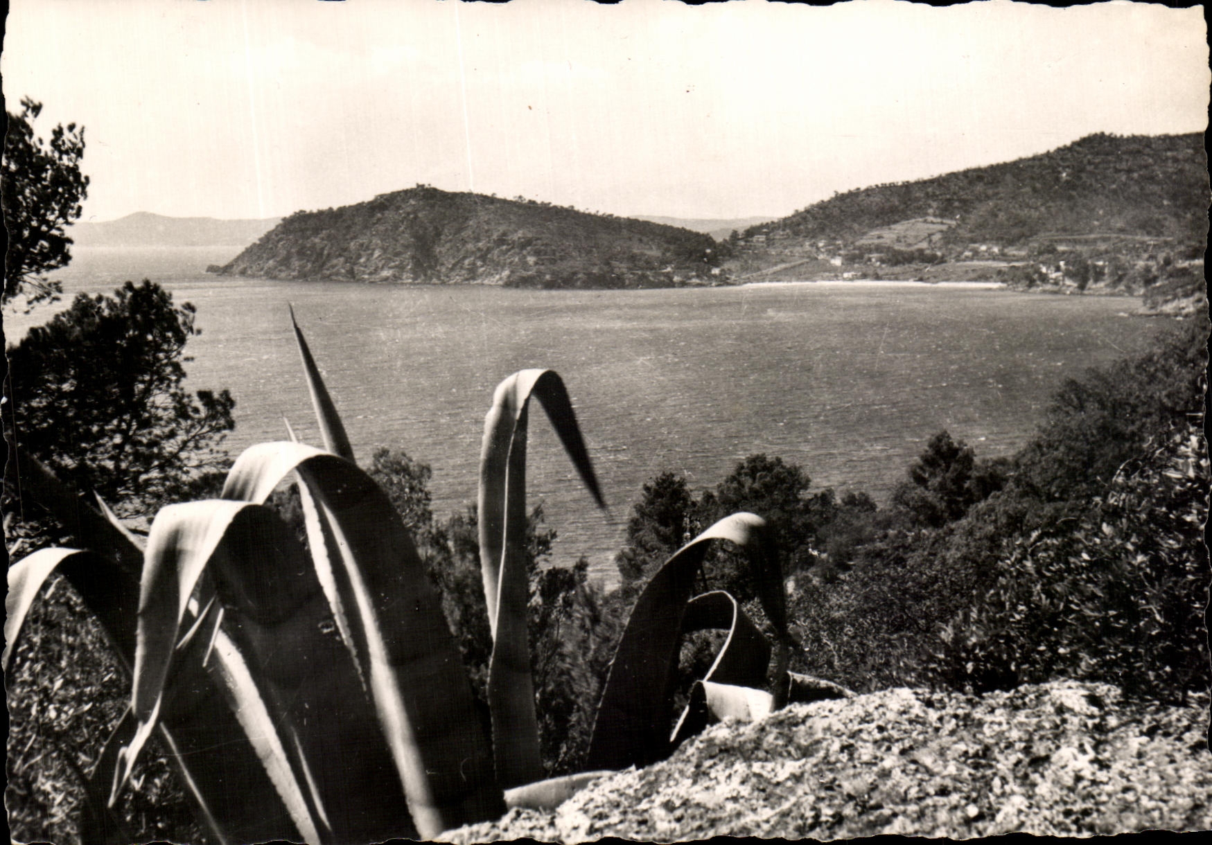 Bordes de la POSTAL de la VENDIMIA de Riviera una esquina de la dimension