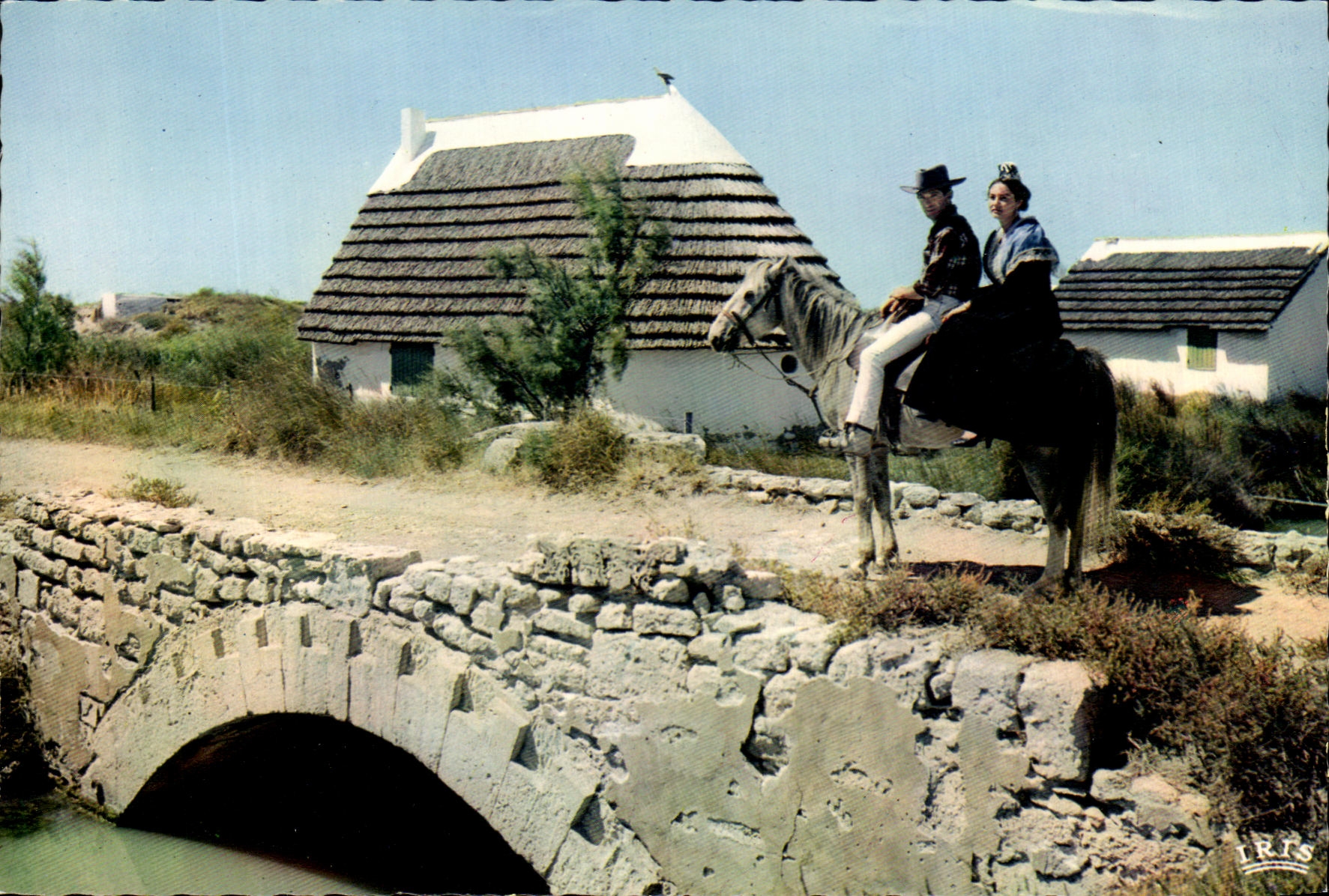 MODERN CARD the Camargue With Gardians Folklore Horse