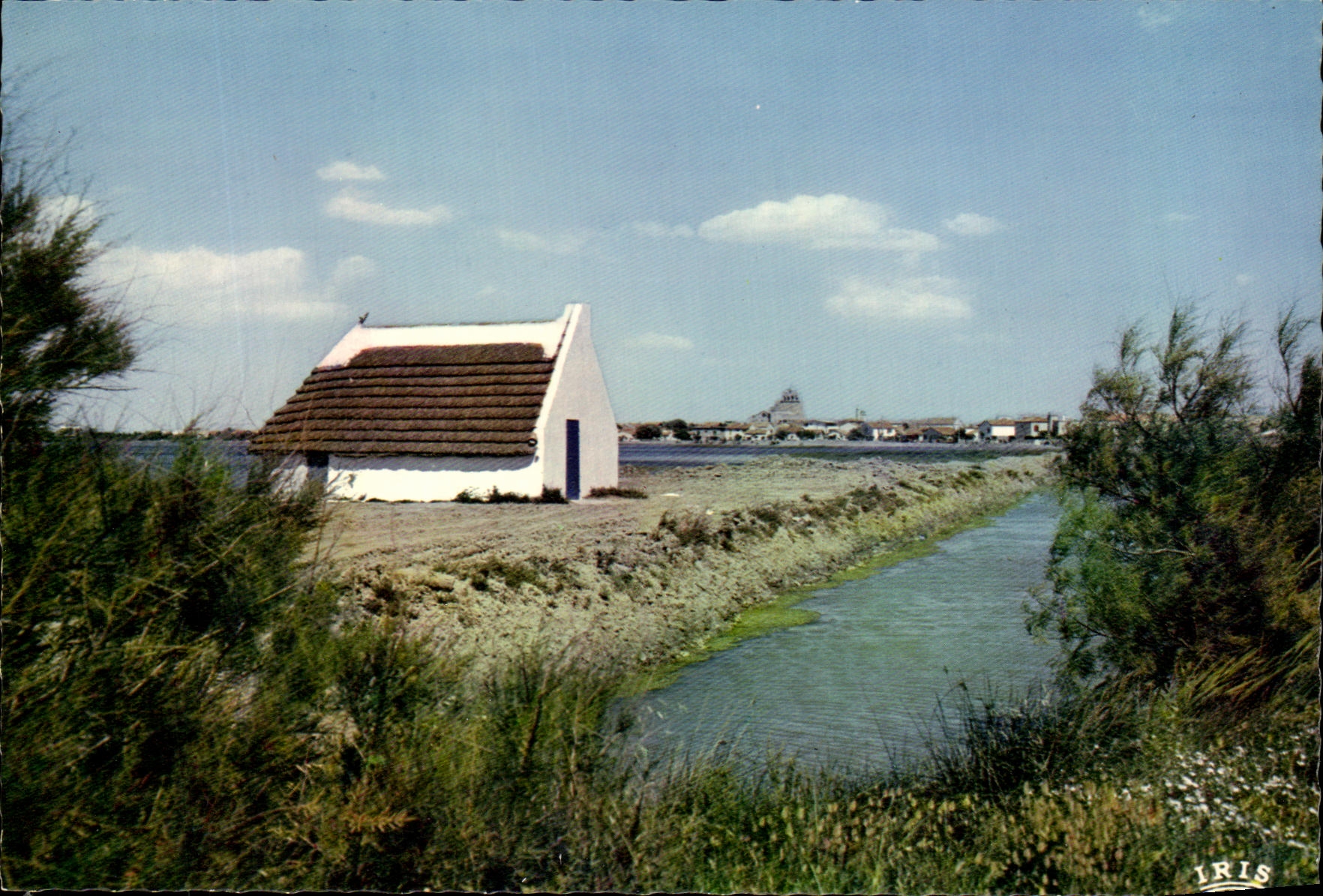 CPSM the Camargue With Gardians