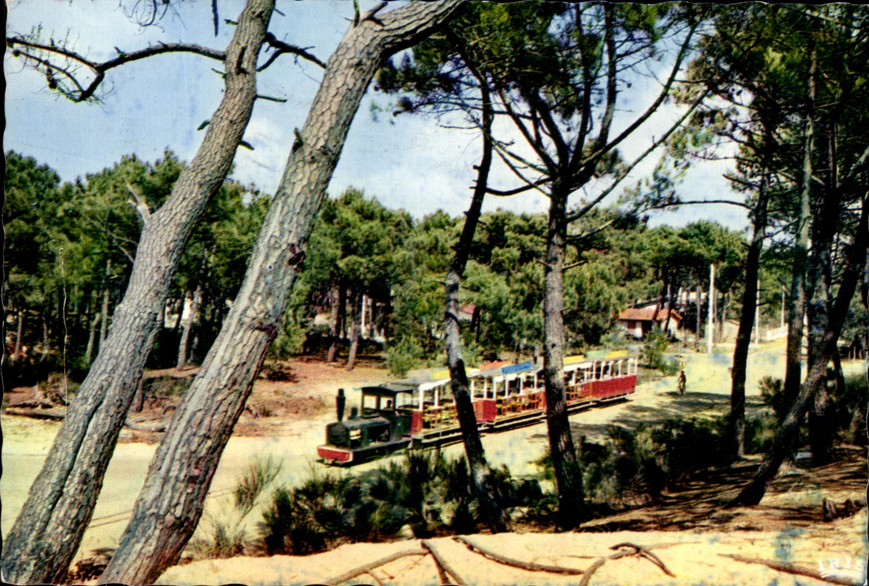 CPSM Bassin D Arcachon Le Pett Train du Cap Ferret