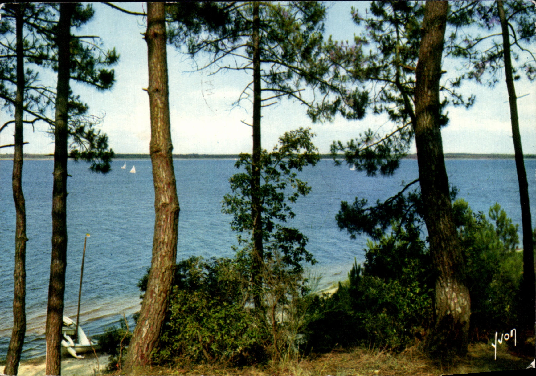 CPSM the Lake De Lacanau Seen Of the Pines Colors And Light Of France