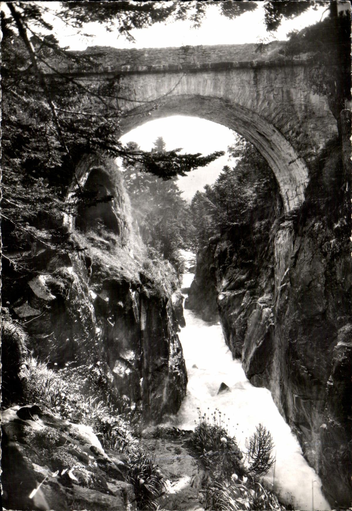 CPSM Le Pont D Espagne Le Pont sur le Gouffre