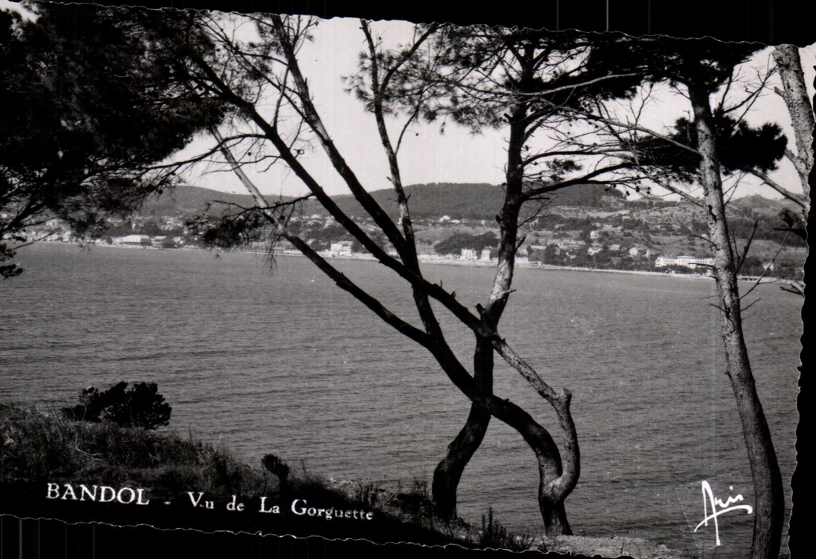 CPA Bandol Vu de la Gorguette