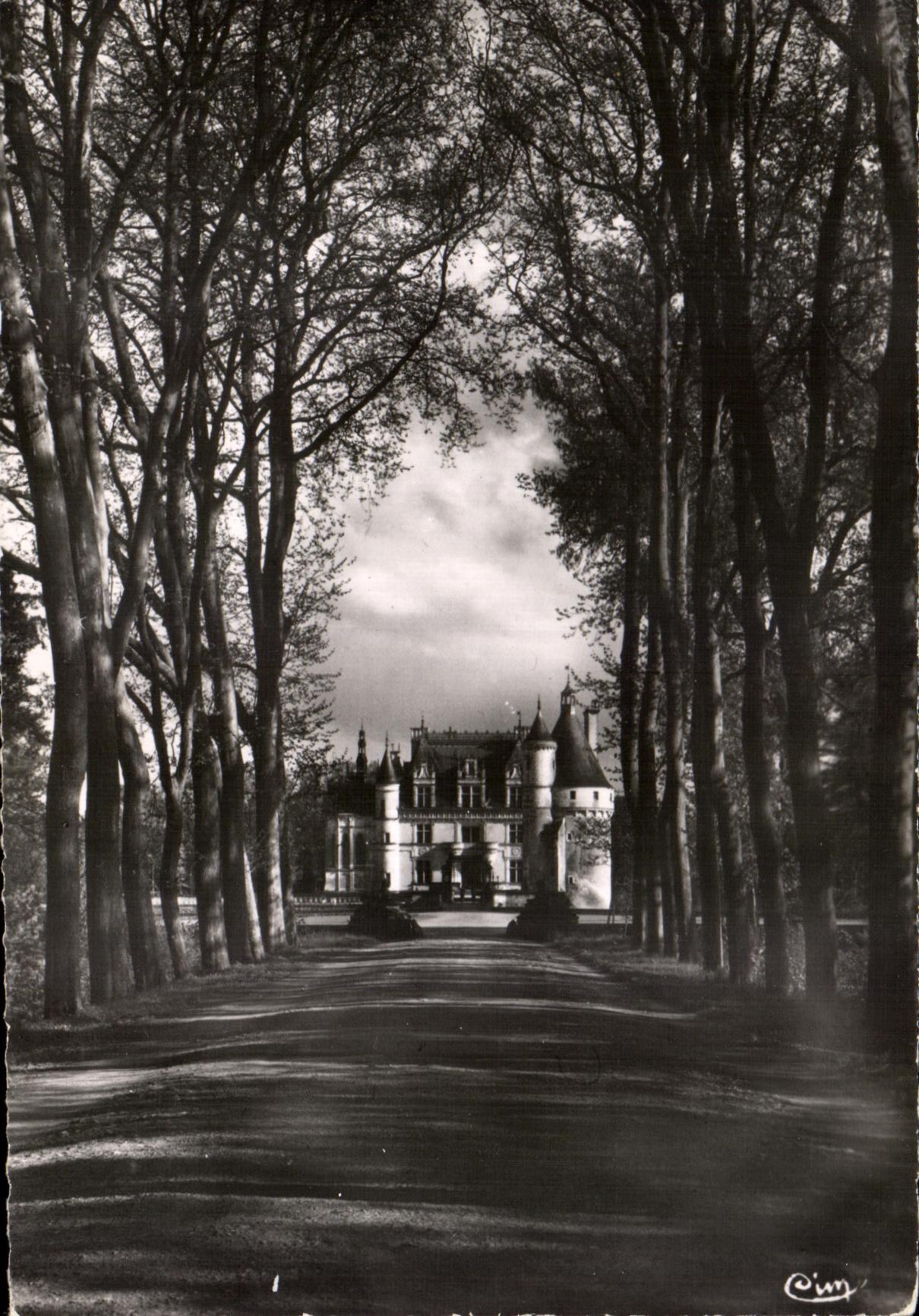Castillo de CPSM de Chenonceaux ido de los arboles planos