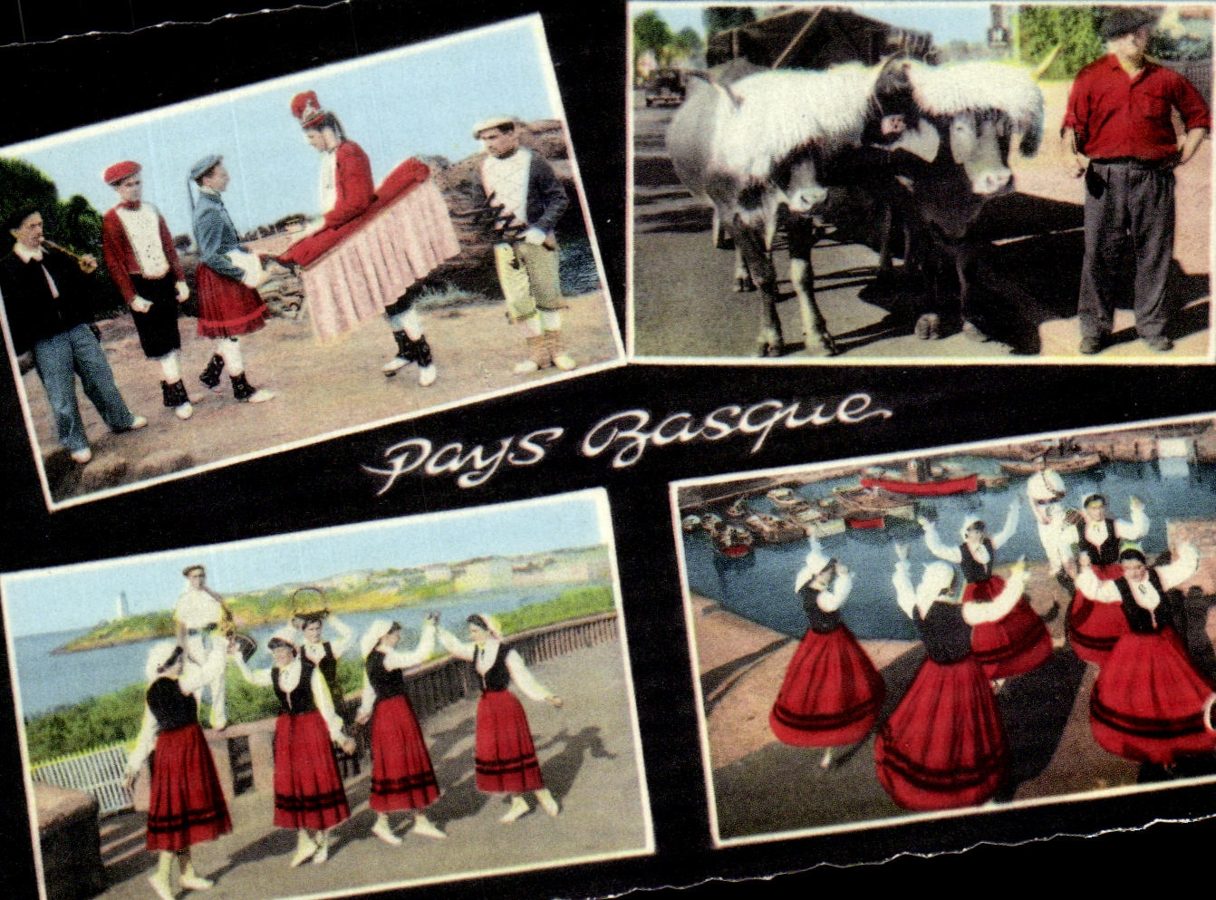 CPM Pays Basque Mascarade Souletine Attelage Danse des pommes La ronde