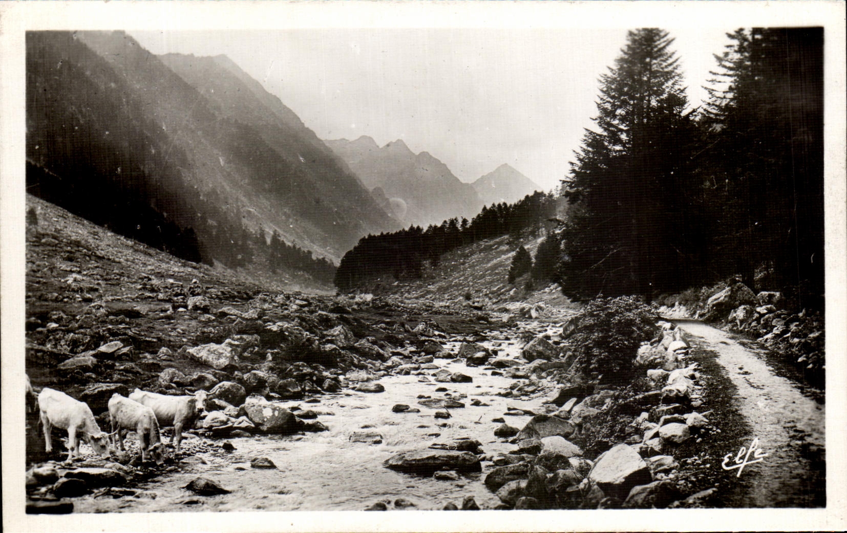CPSM Hautes Pyrnees Cauterets Dans le Val de Lutour Le Gave et le chemin muletier