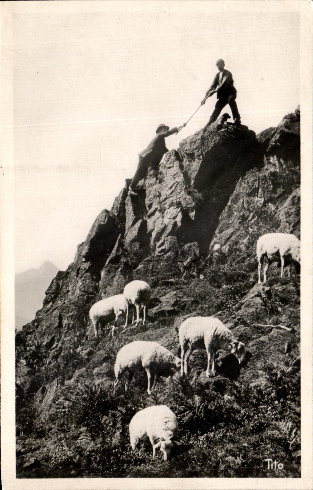 CPSM Hautes Pyrenees une Escalade en Montagne Moutons