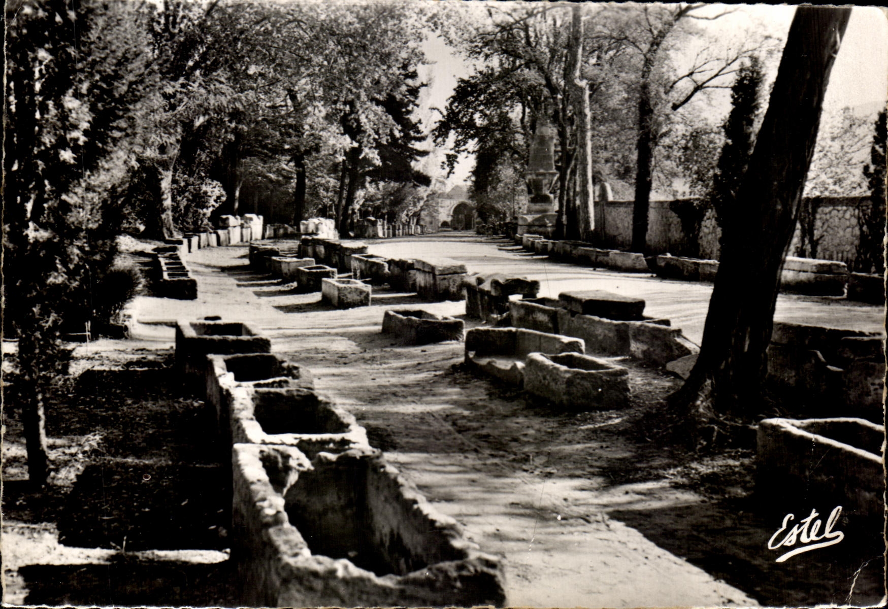 CPSM Arles Alyscamps Gone of the tombs