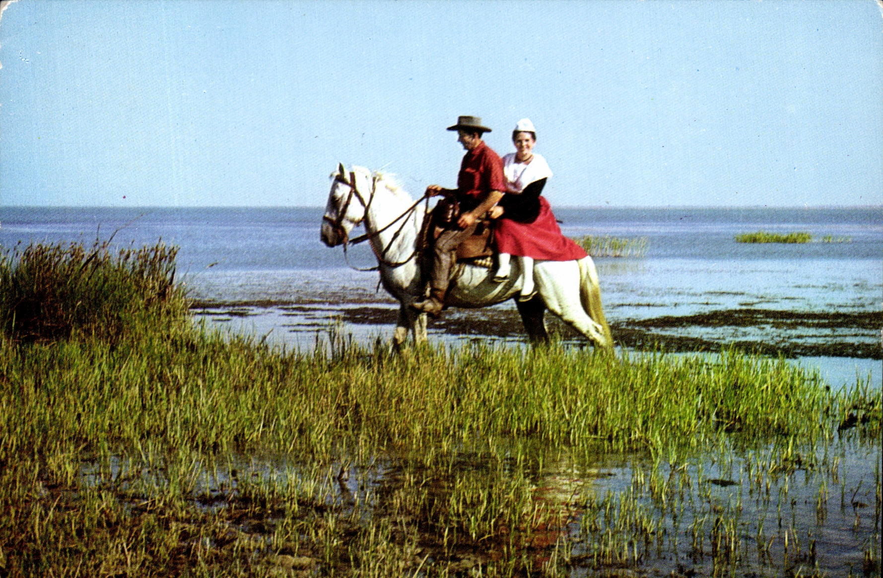 CPSM the Beautiful Images of the Camargue walk has horse at the edge of Vaccares