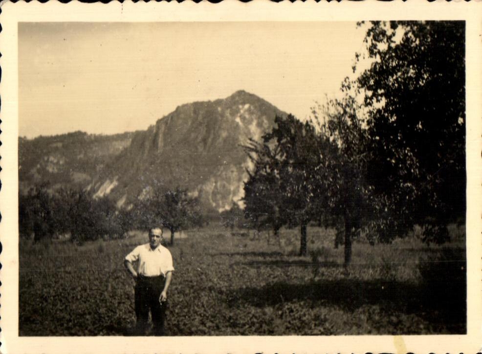 Photo man in the middle of the orchards