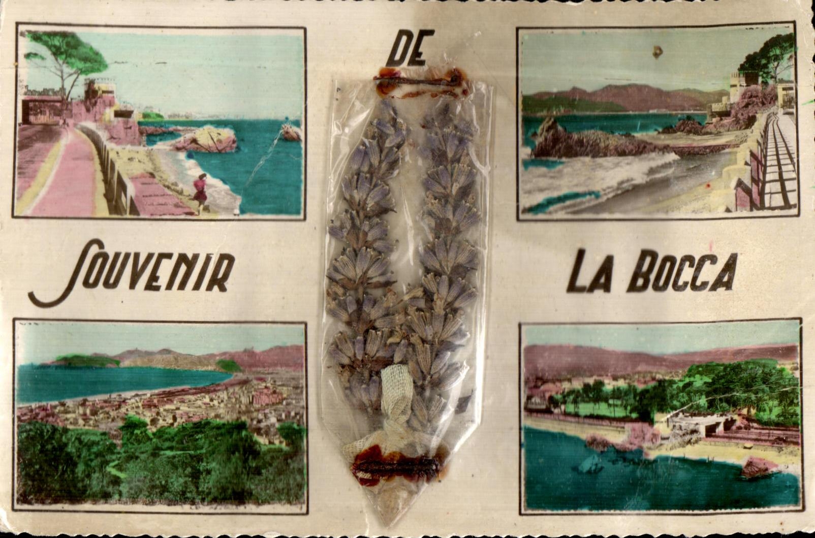 POSTAL de la VENDIMIA para recordar Bocca