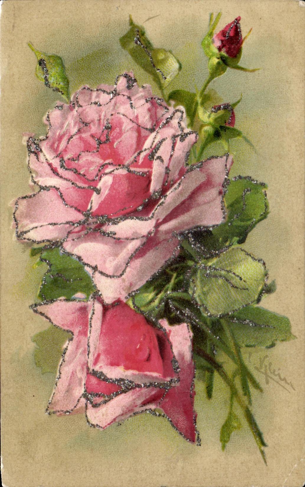 Flores del color de rosa de la POSTAL de la VENDIMIA