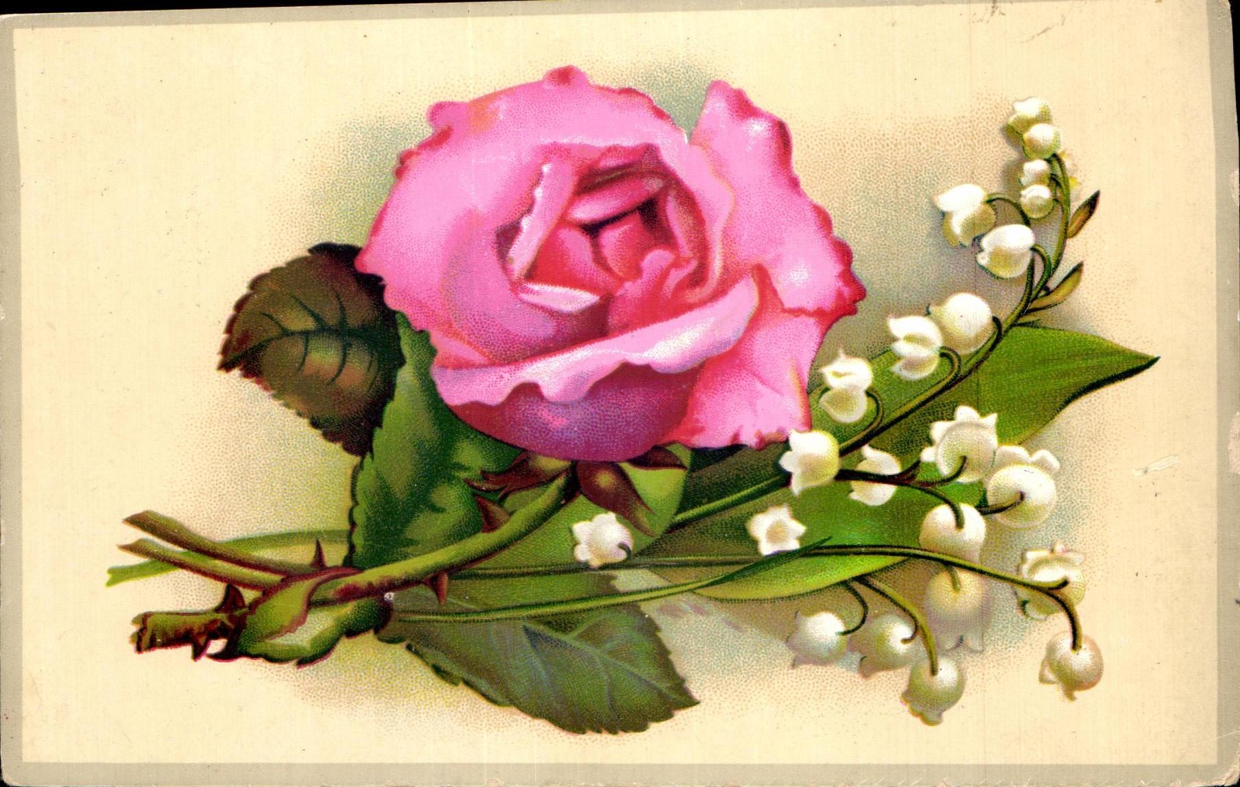 La POSTAL de la VENDIMIA florece el lirio de los valles