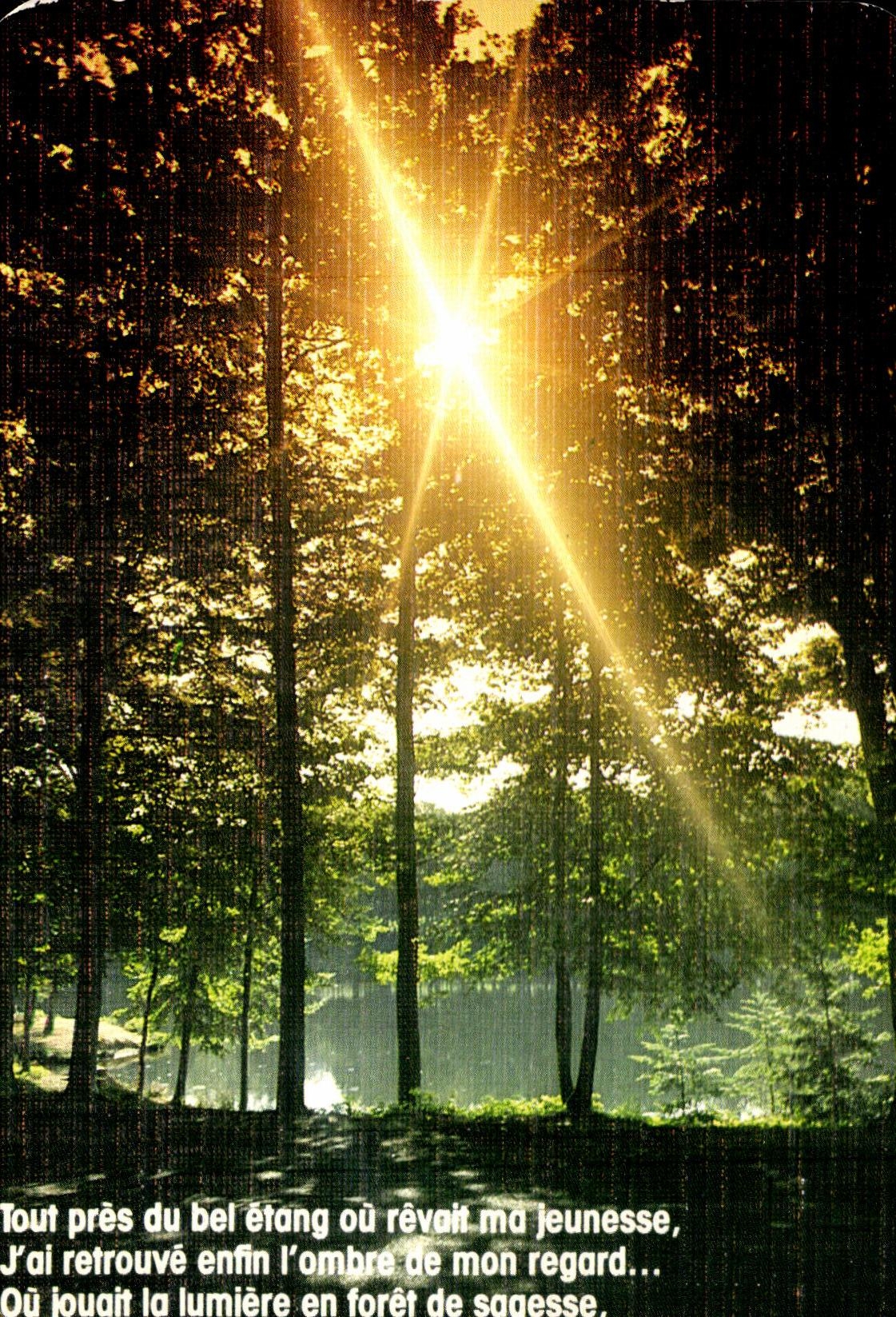 POSTAL MODERNA muy cerca a la charca hermosa o a la juventud ideal J de Mandelevium tener hallazgos L cortina del vistazo de la mama