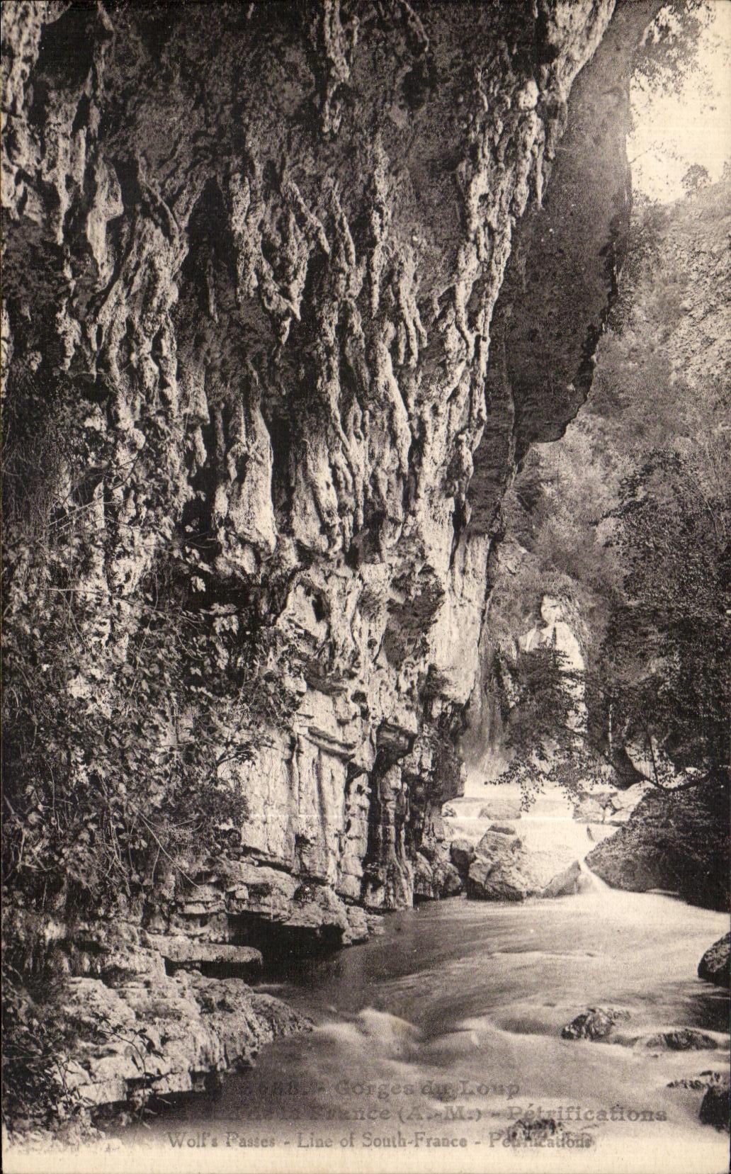 Fu Loup de la catarata de la POSTAL de la VENDIMIA