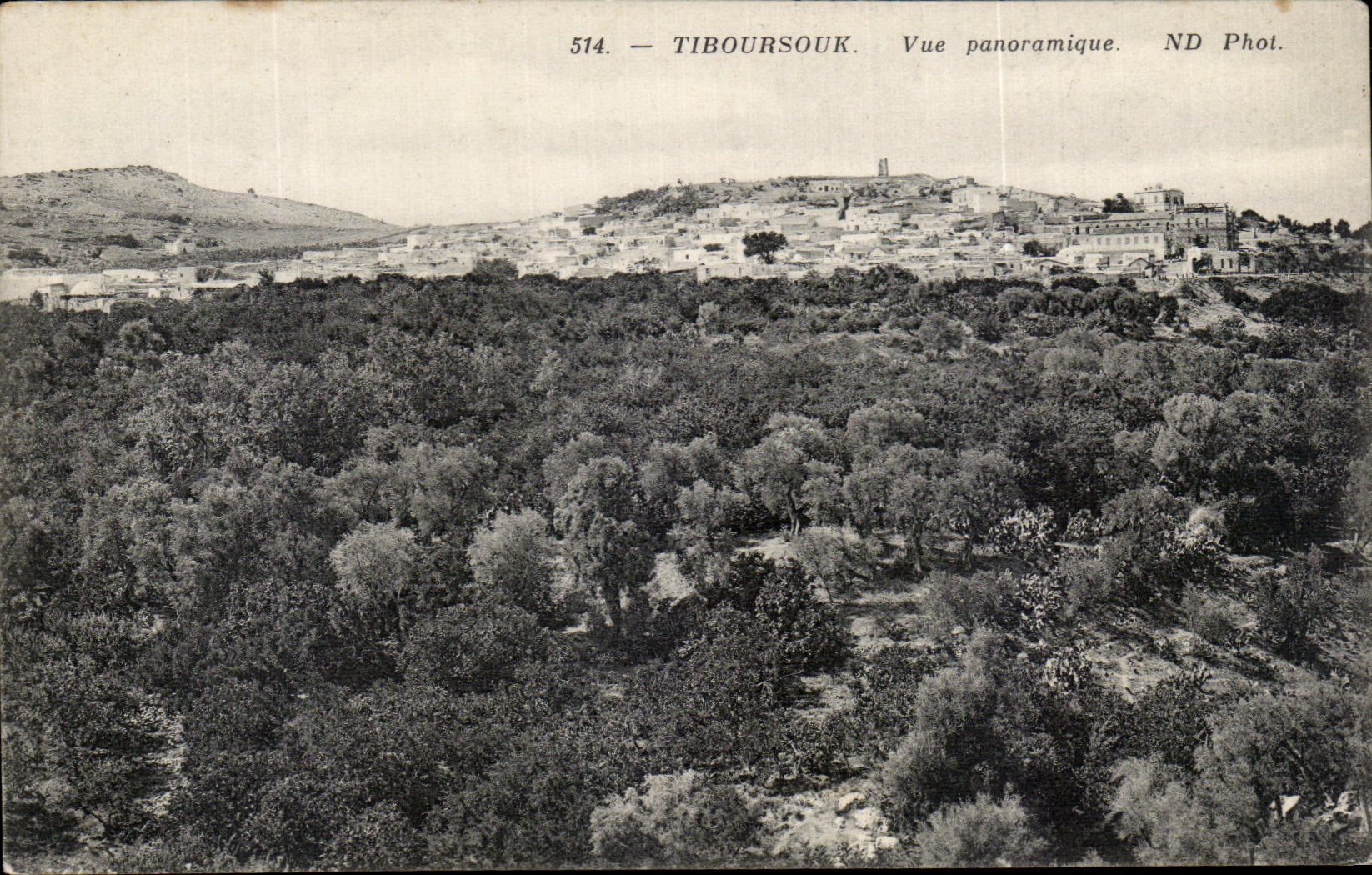VINTAGE POSTCARD Tiboursouk Panoramic View