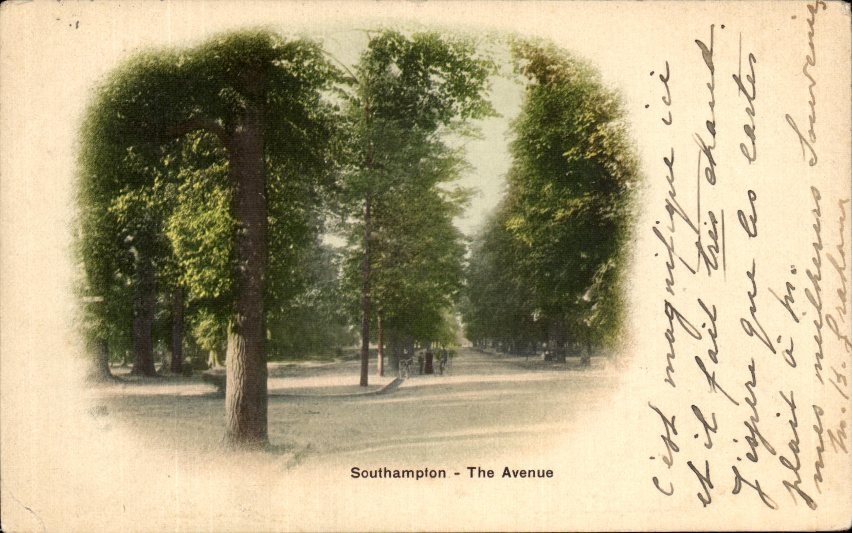 VINTAGE POSTCARD Southampton The Avenue