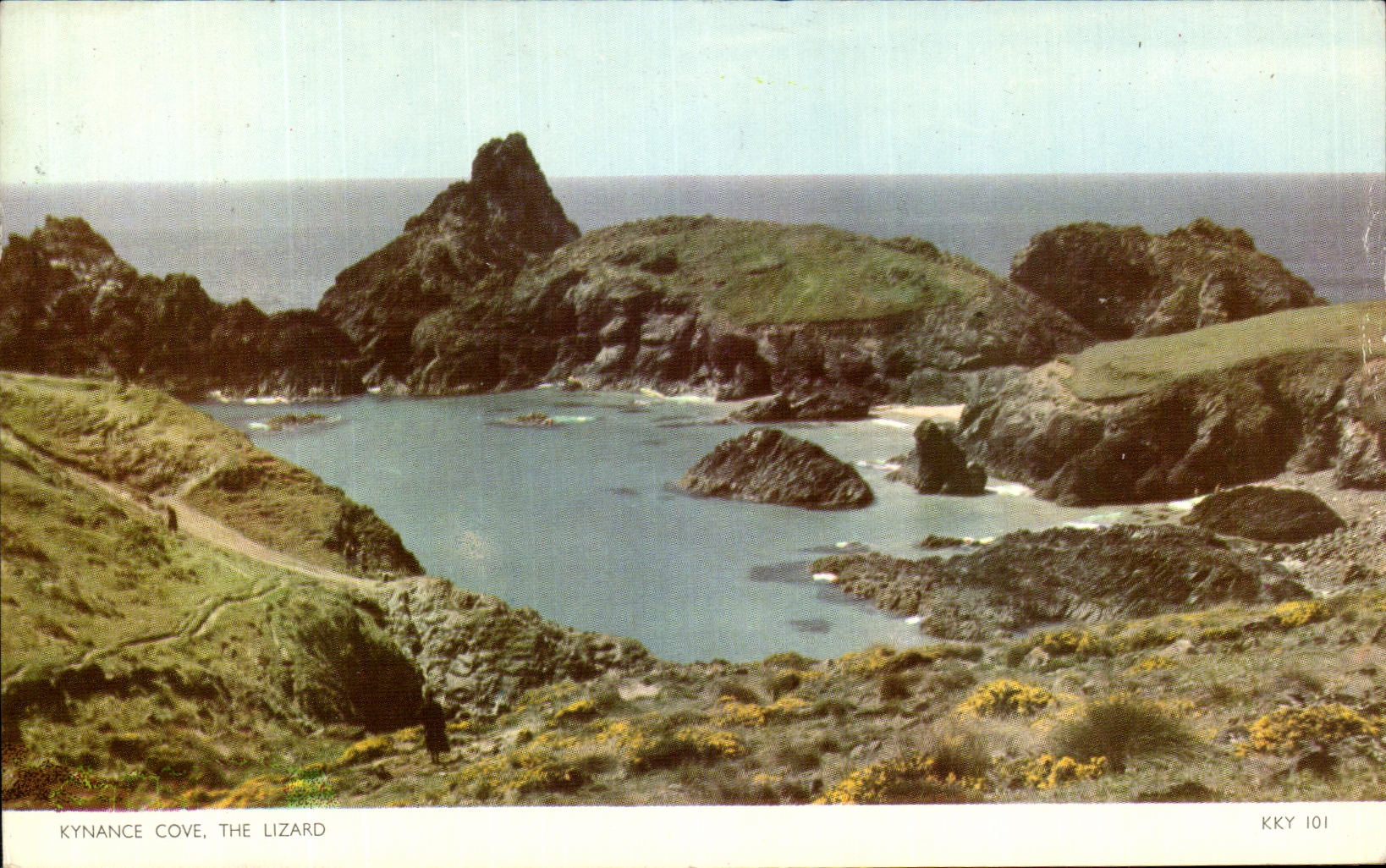 CPM Kynanch Cove The Uzard