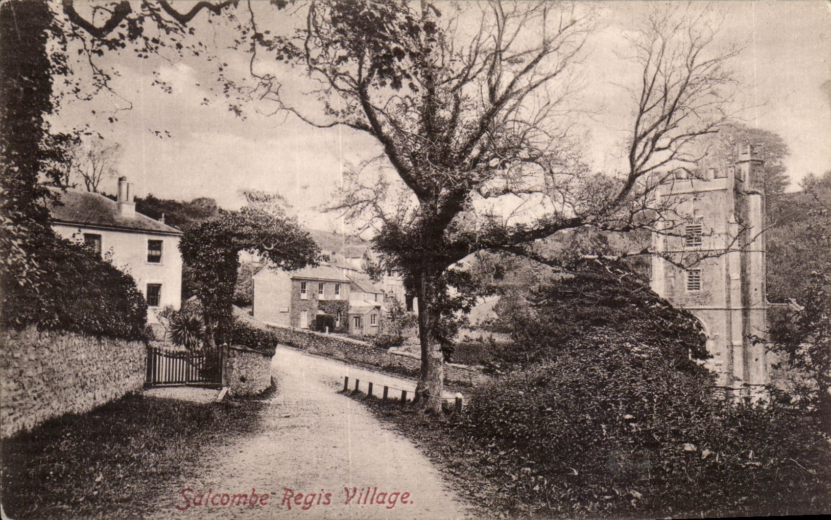 CPA Salcombe Regis Village