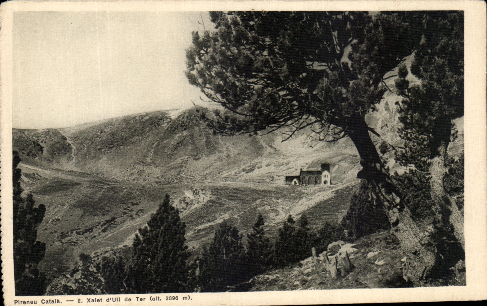 VINTAGE POSTCARD Pireneu Catala