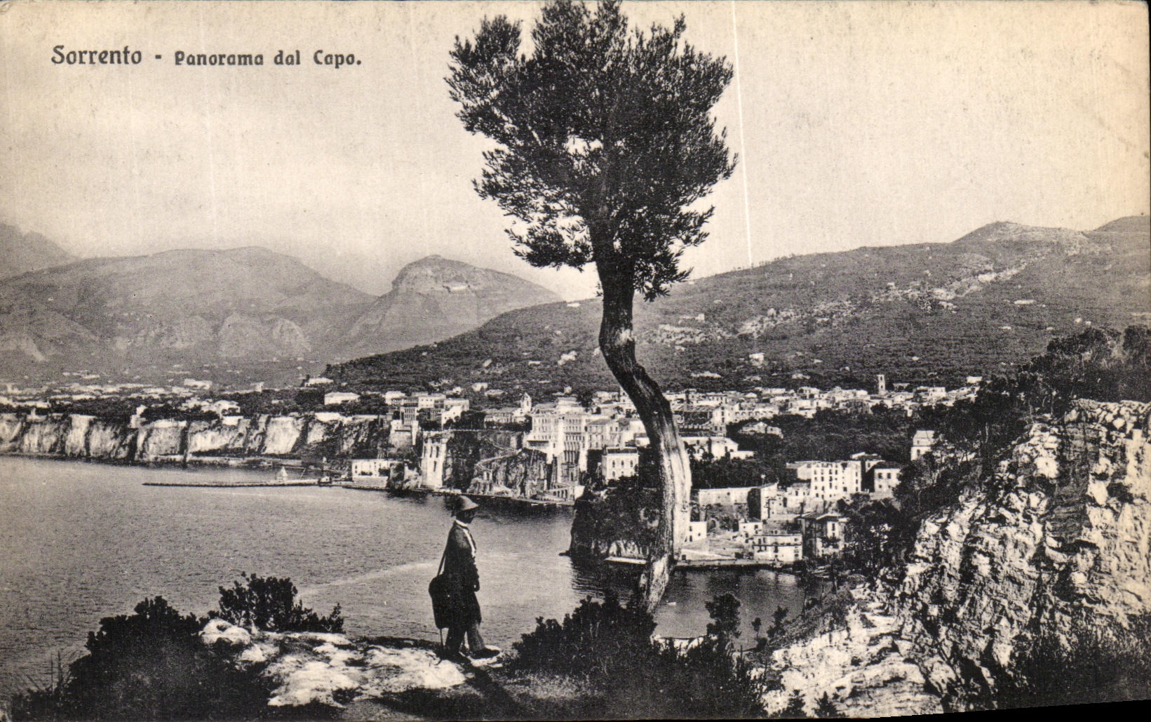CPA Sorrento Panorama Dal Capo 
