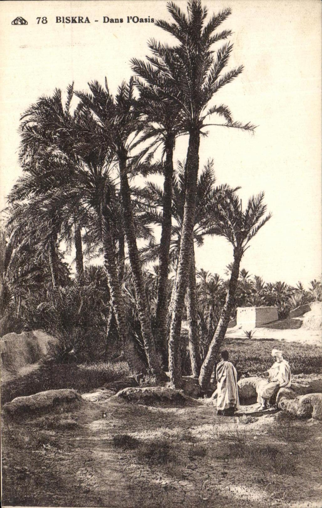 CPA Biskra Dans L Oasis algerie