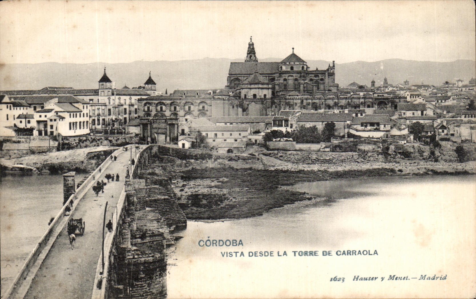 POSTAL Cordoba Vista Desde Torre De Carraola de la VENDIMIA