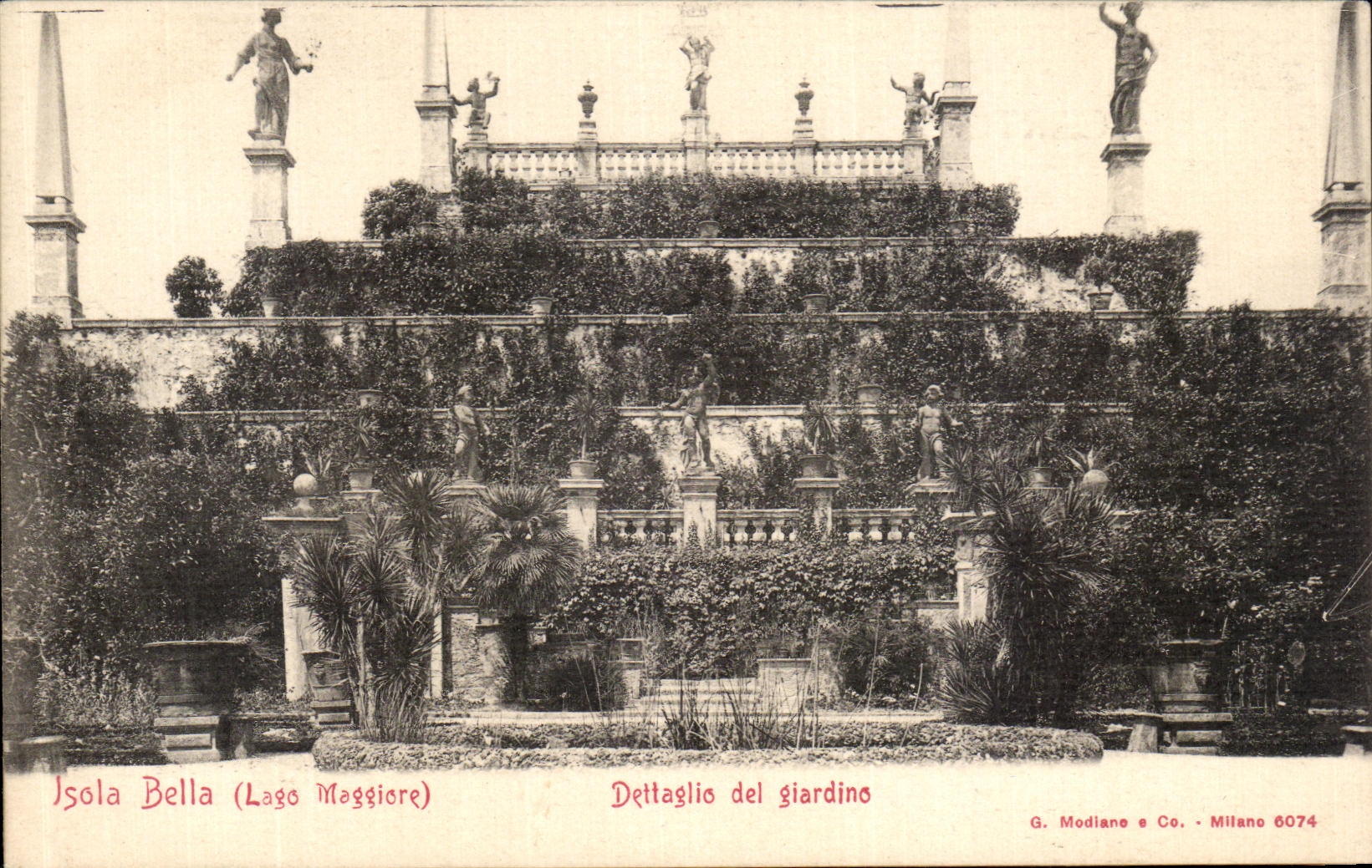 CPA Isola Bella Dettaglio Del Giardino