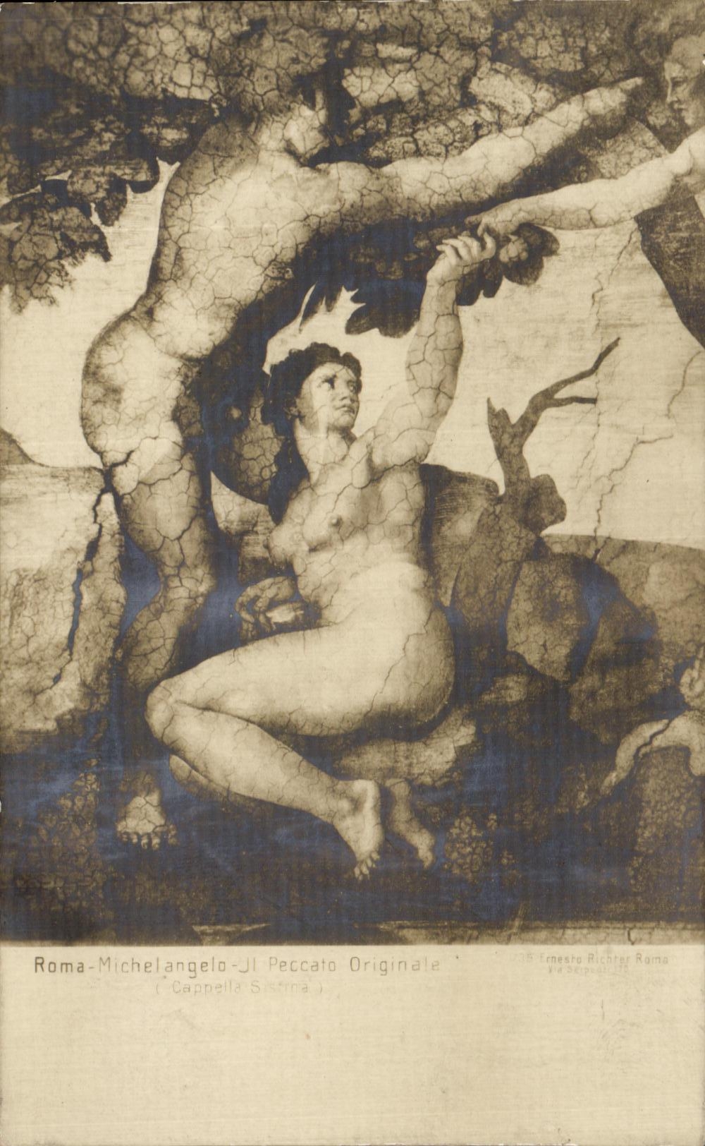 CPA Roma Michelangelo Peccato originale