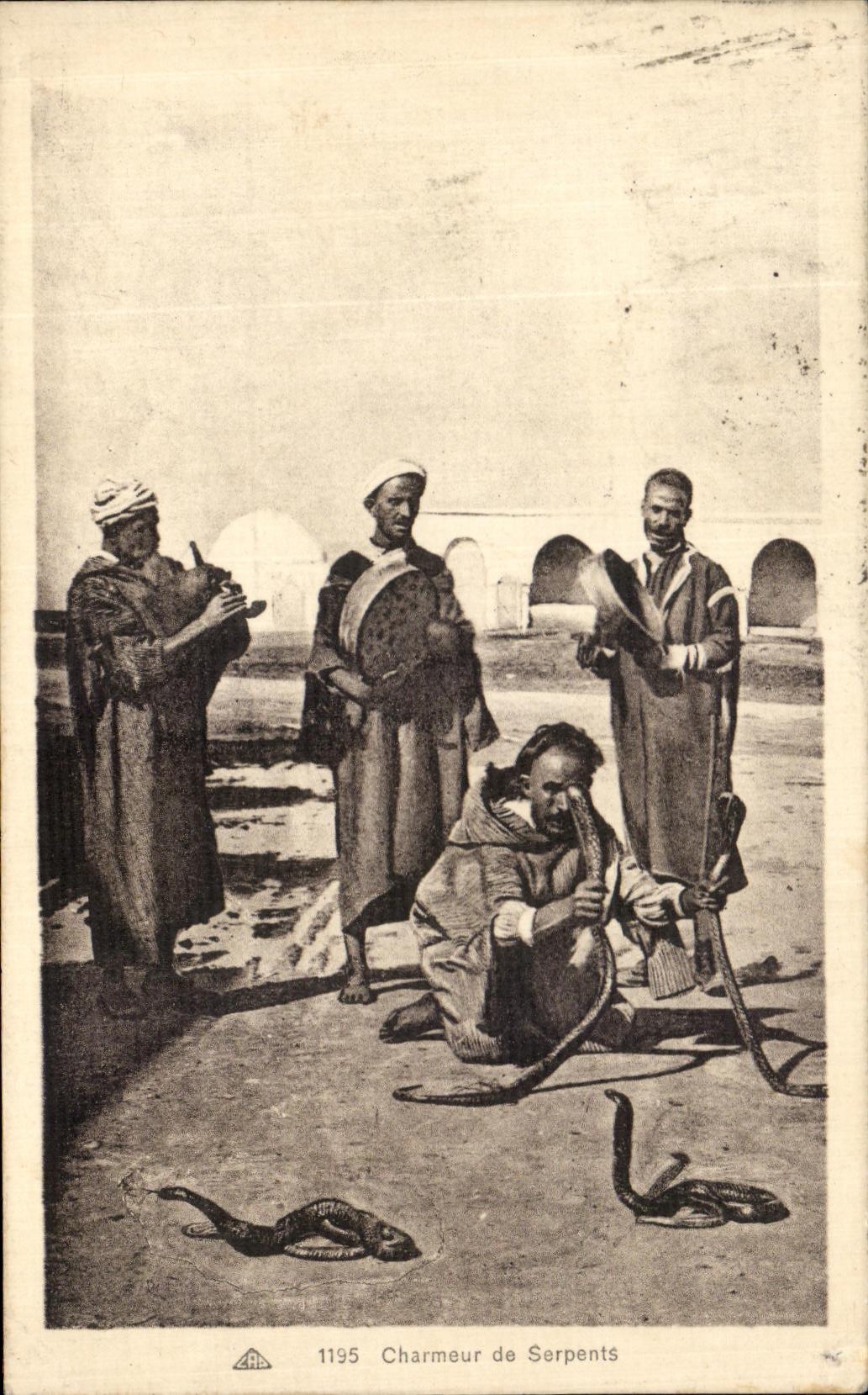 VINTAGE POSTCARD Snake charmer Tunisia