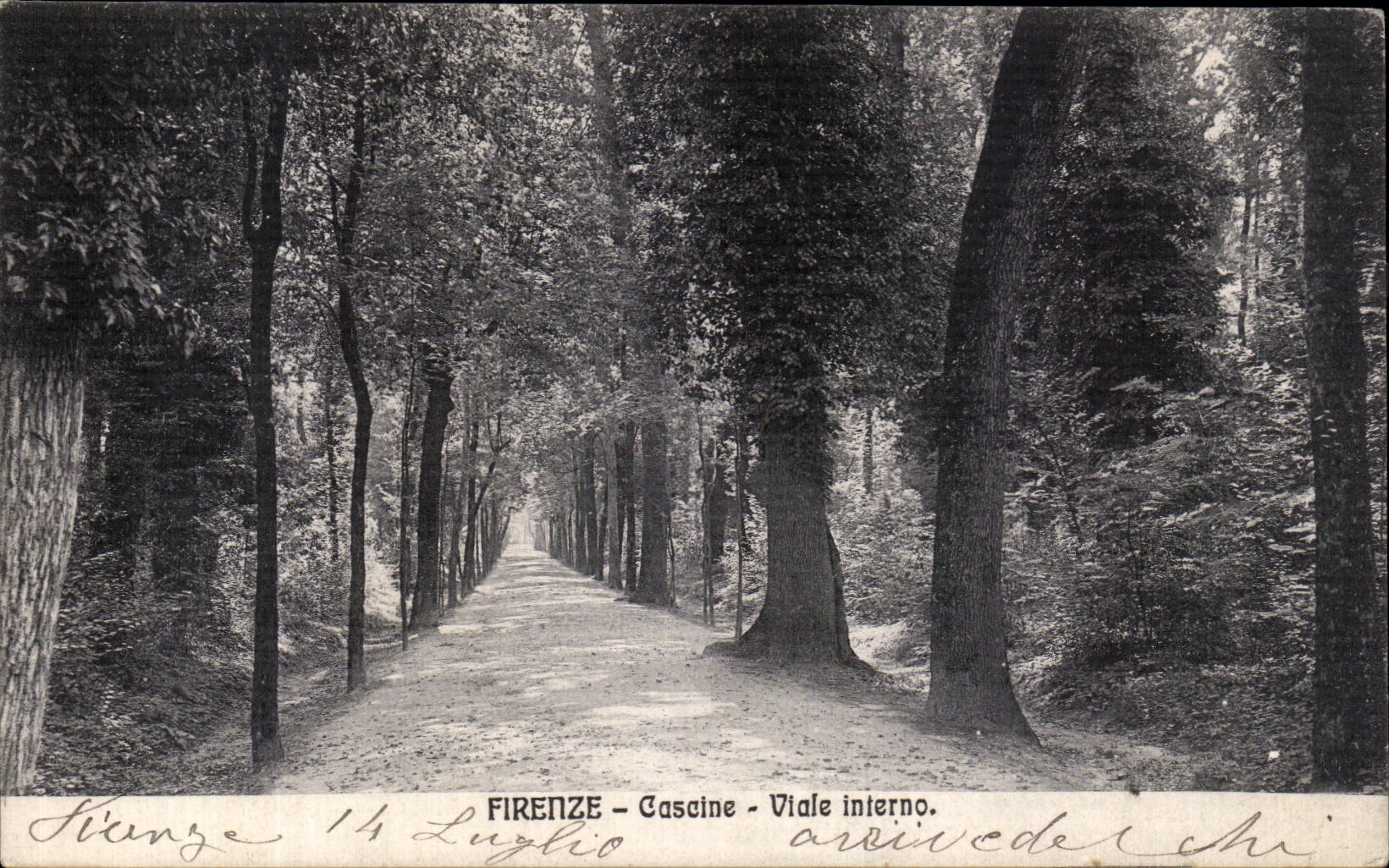 Interno de Firenze Cascine Viale de la POSTAL de la VENDIMIA