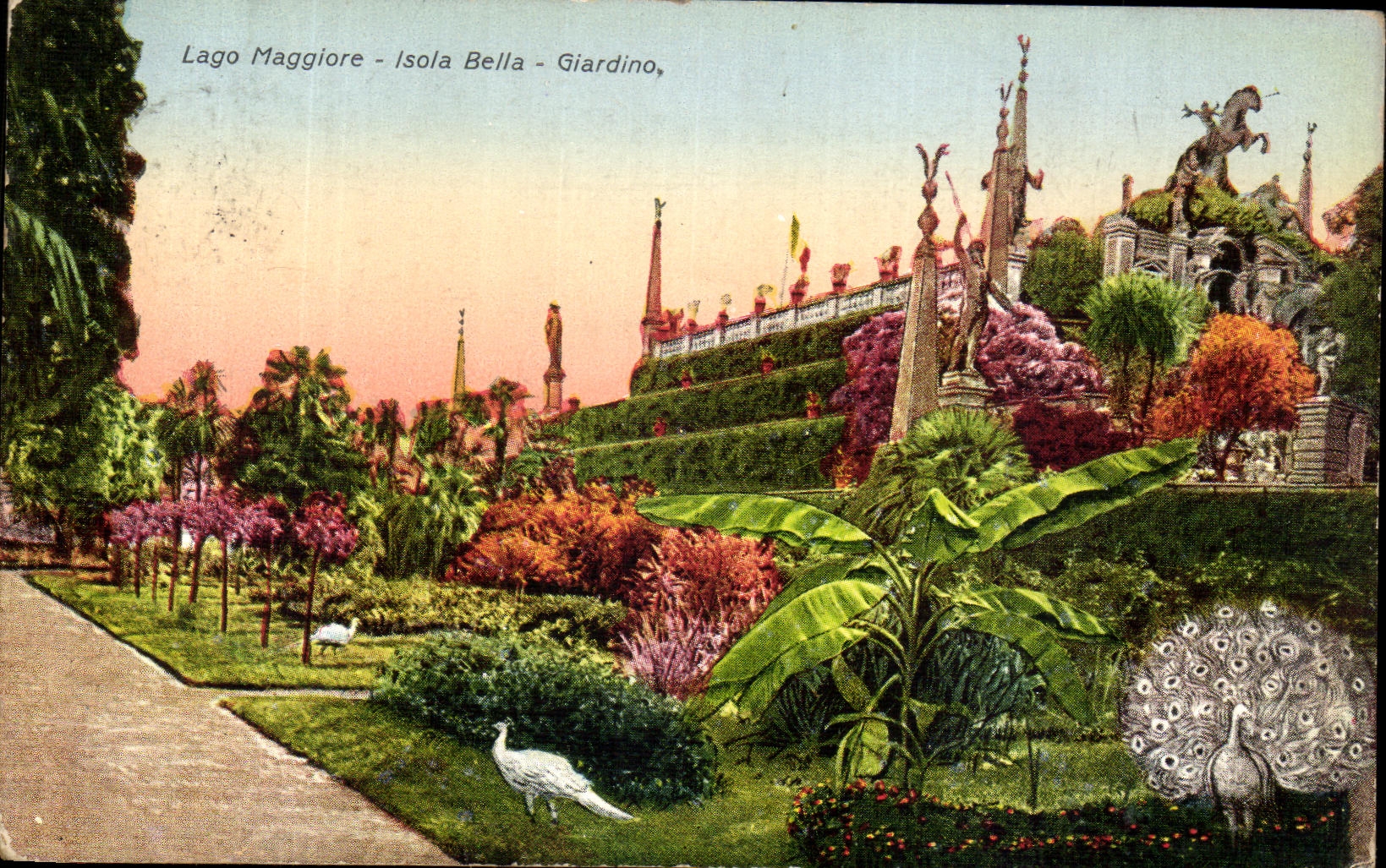 CPA Maggiore Isola Bella Giardino