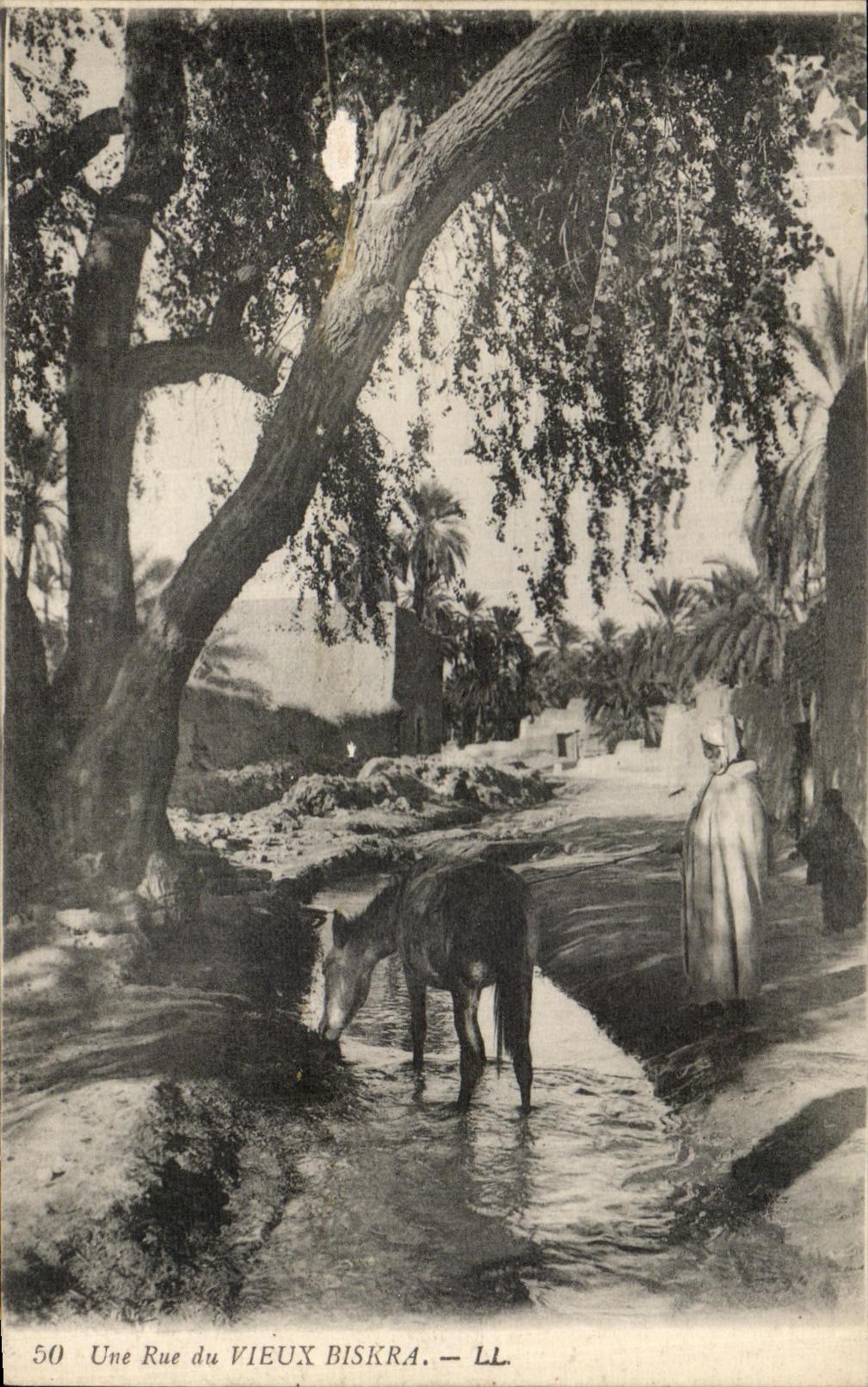 CPA Une Rue du Vieux Biskra Algerie