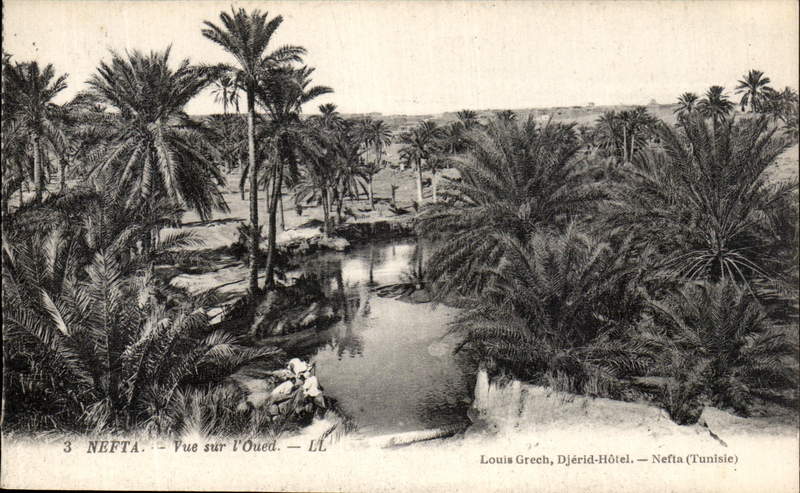 VINTAGE POSTCARD Nefta Seen on L Tunisia Wadi