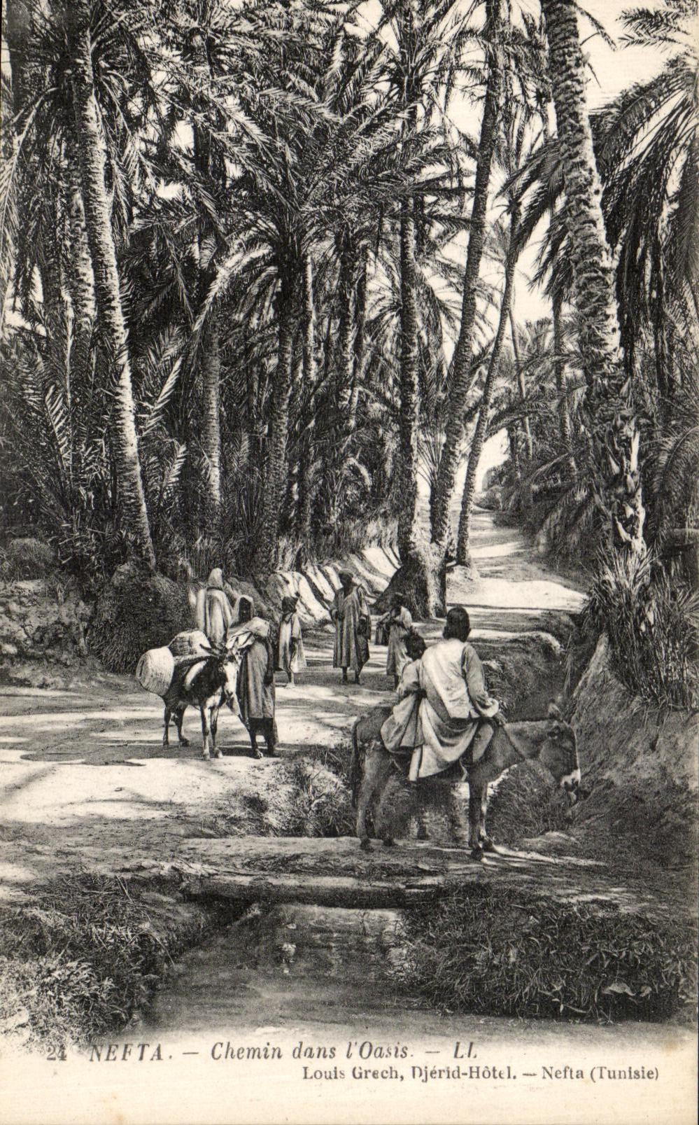 VINTAGE POSTCARD Nefta Way in L Tunisia Oasis