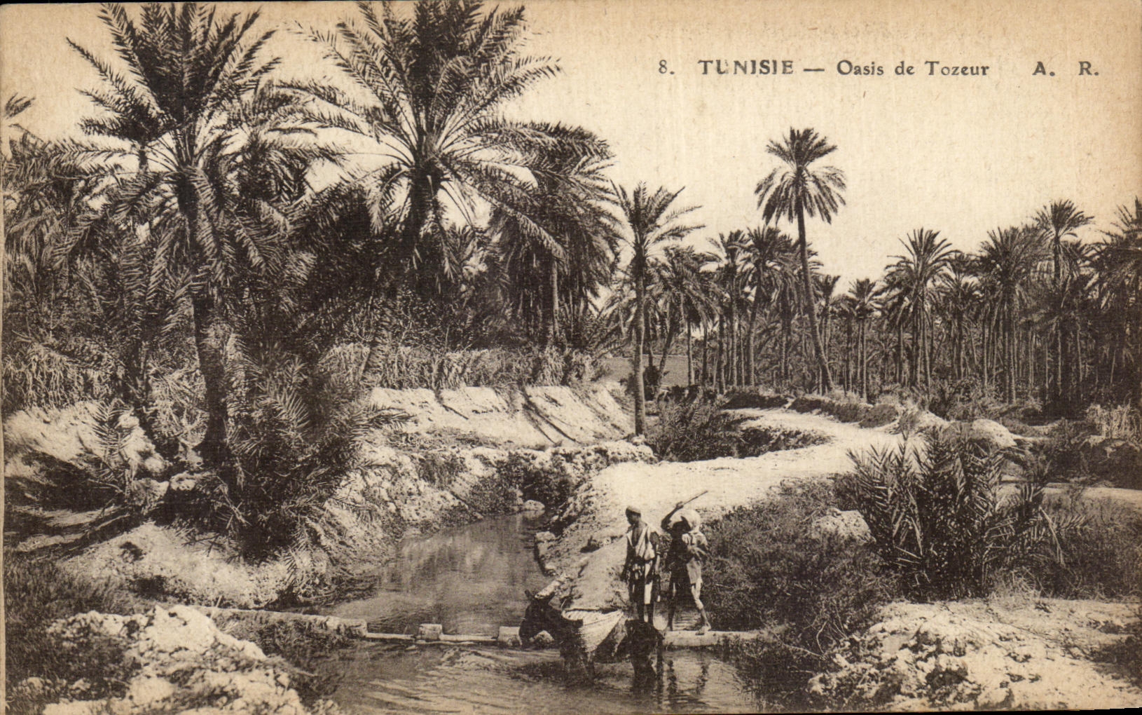 VINTAGE POSTCARD Tunisia Oasis of Tozerur