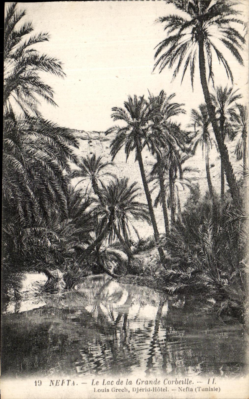 VINTAGE POSTCARD Nefta Lasc of the Large Tunisia basket