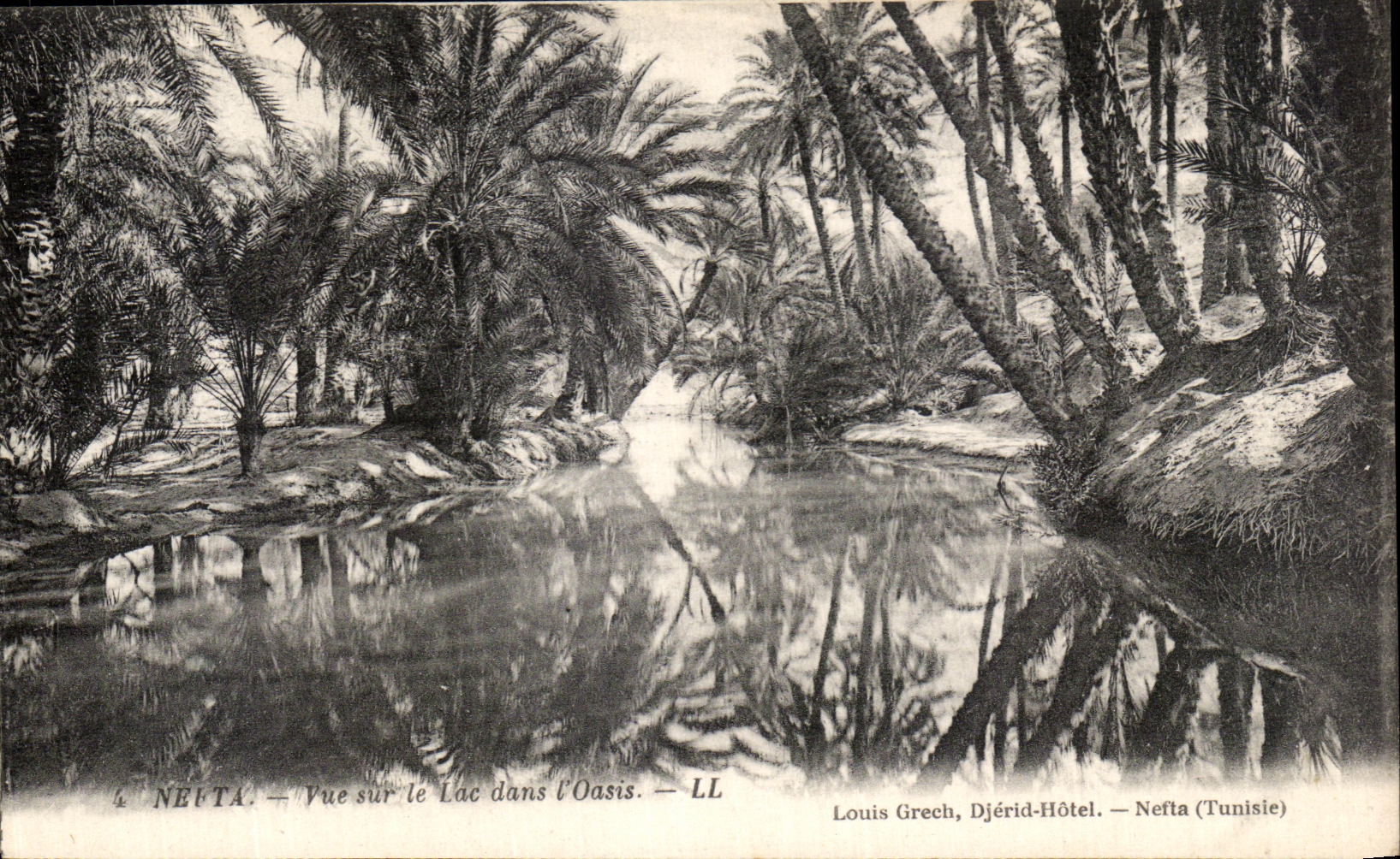 VINTAGE POSTCARD Nefta Seen On the Lake in L Tunisia oasis