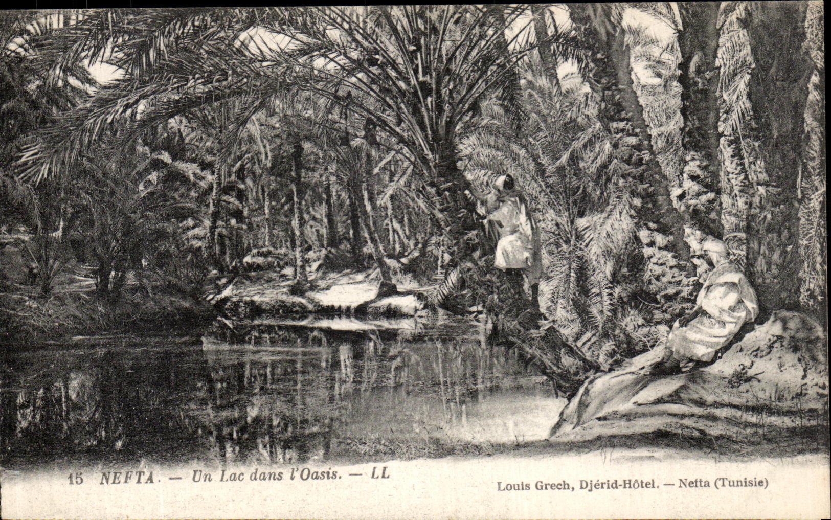 VINTAGE POSTCARD Nefta a lake in L Tunisia oasis