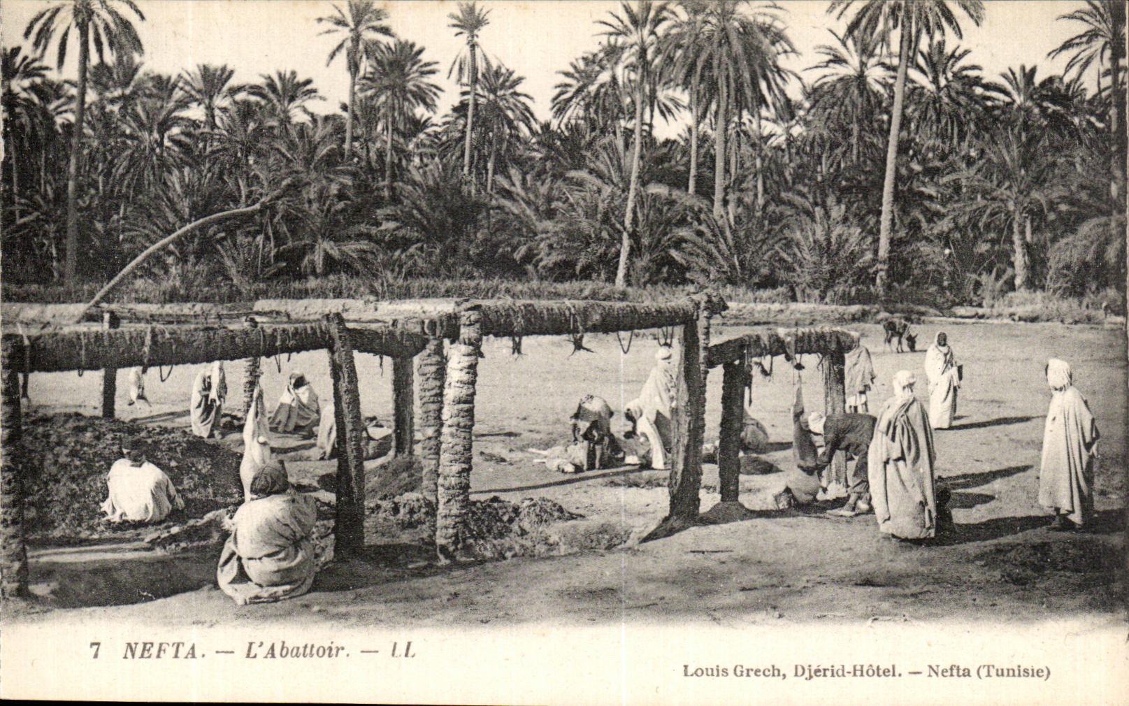 VINTAGE POSTCARD Nefta L Tunisia Slaughter house