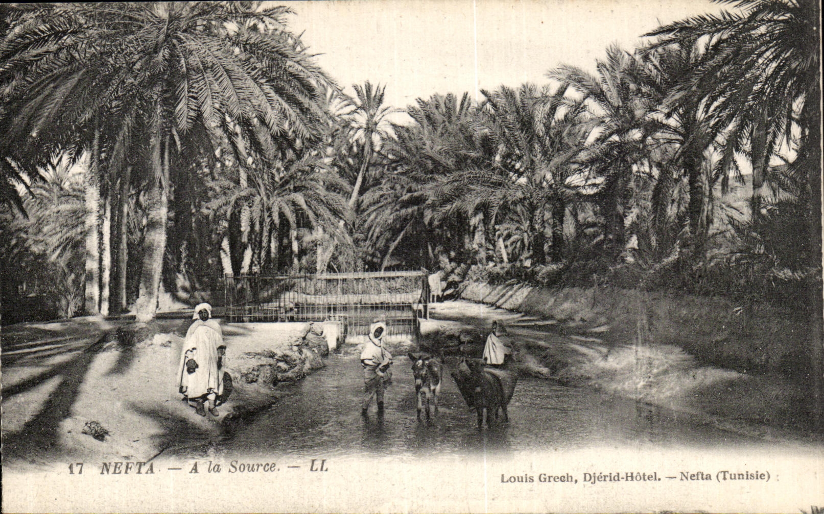 VINTAGE POSTCARD Nefta With the Tunisia Source