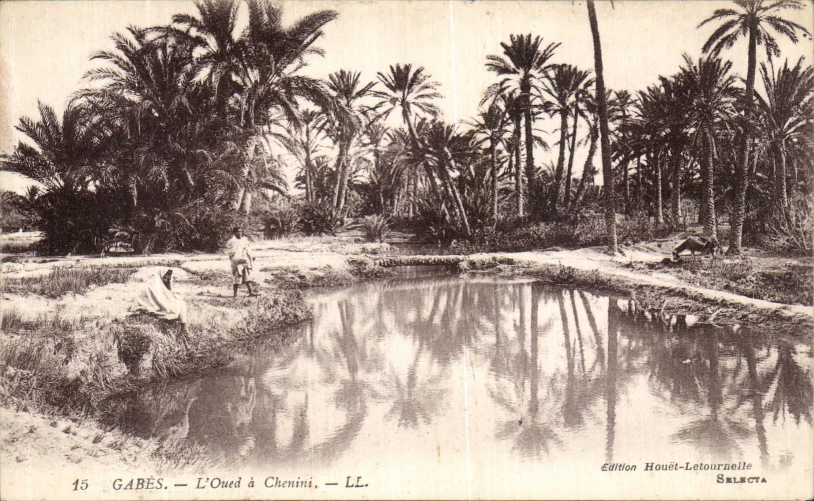 VINTAGE POSTCARD Gabes L Wadi has Chemini Tunisia