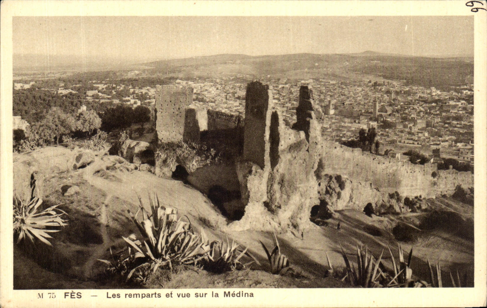 CPA Fez Les Remparts et vue Sur la Medina